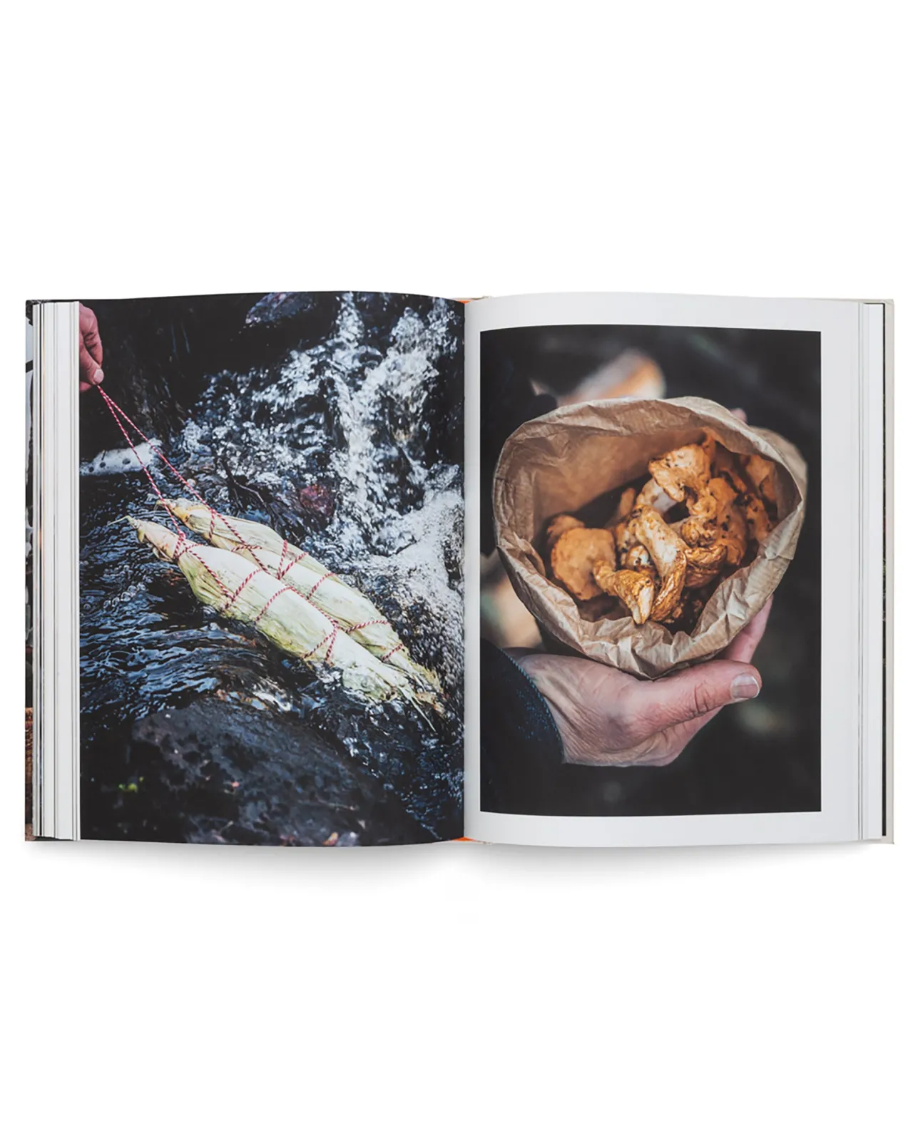 grnes_auf_dem_feuer_kochen_6.webp Online Grünes auf dem Feuer kochen Bücher & Zeitschriften | Outdoor Küchenutensilien