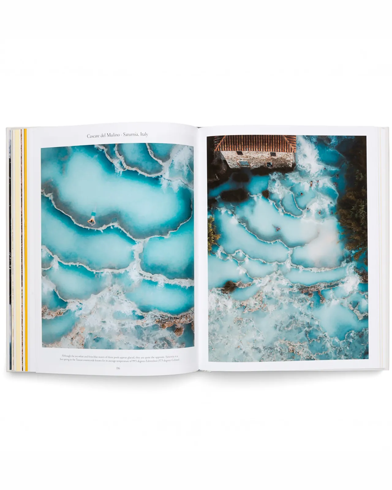 the_nature_of_swimming_5.webp Outlet The Nature of Swimming Bücher & Zeitschriften | Accessoires